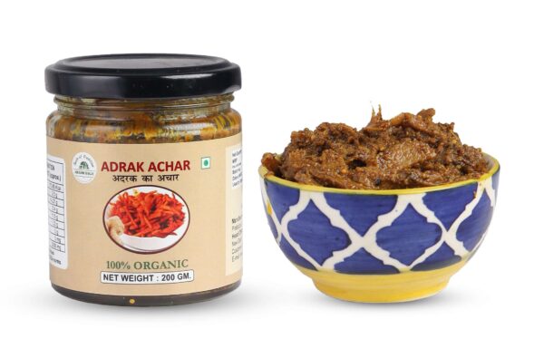 Awadh Bagh Ginger Pickle Authentic Pickles Jar of Traditional Flavor - Image 2